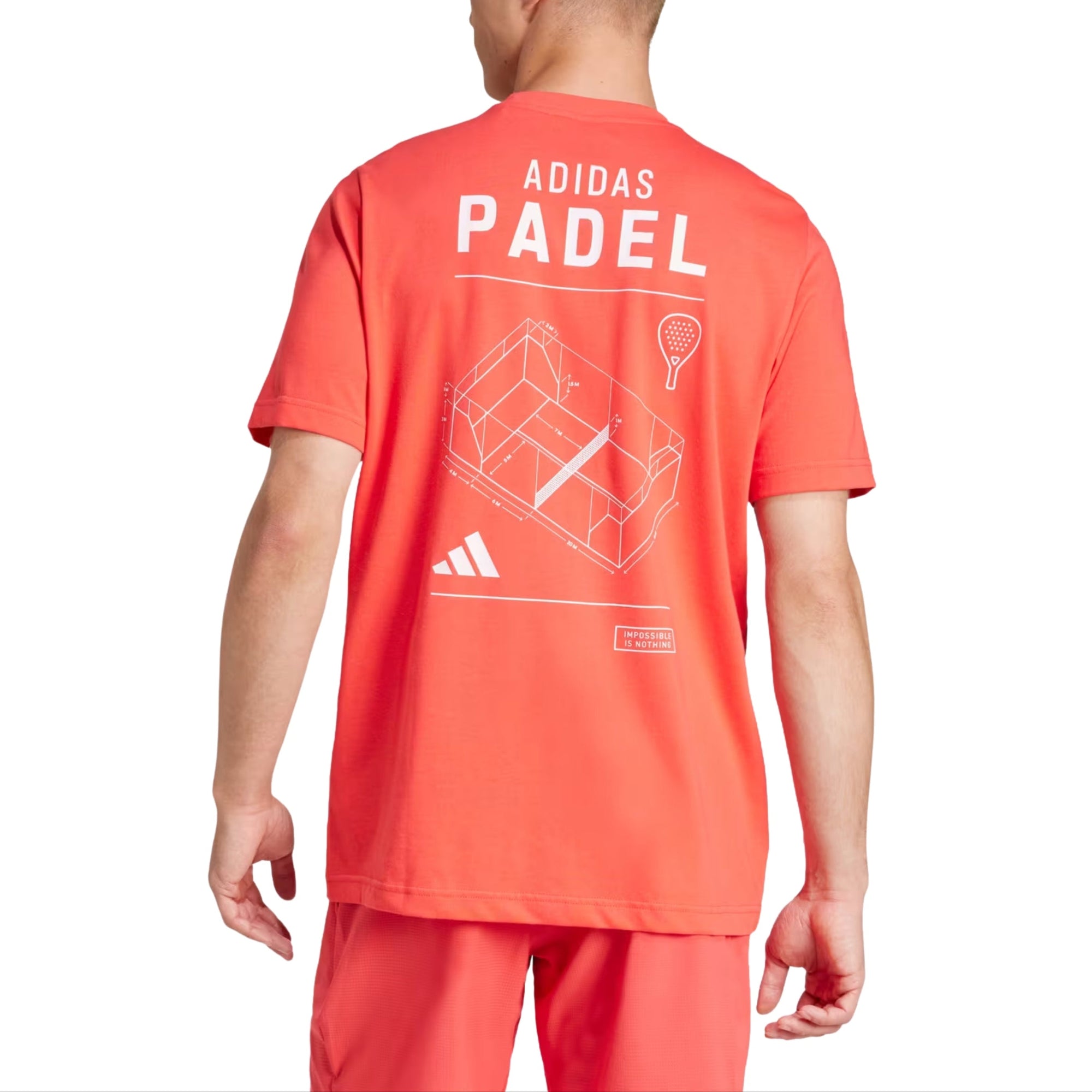 Adidas Padel Category Graphic Tee - Back