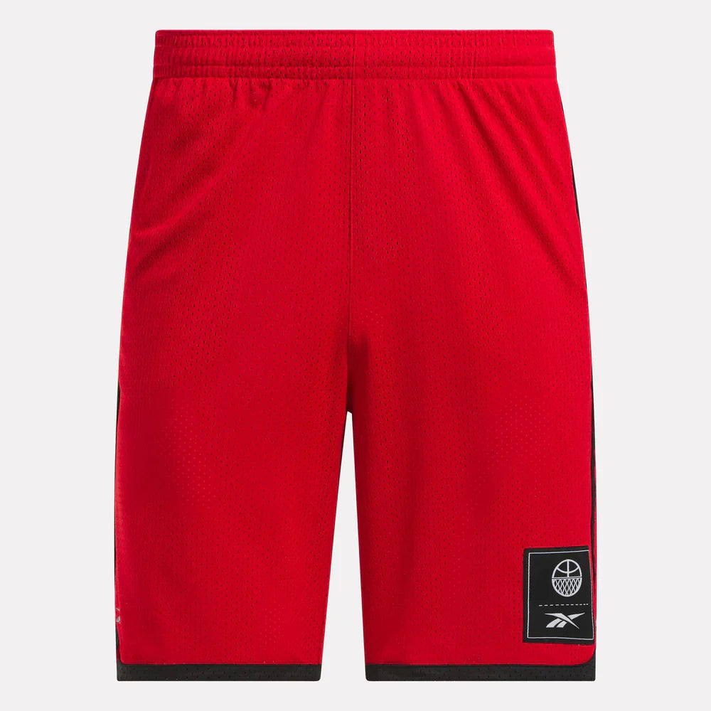 Basketball Mesh Shorts (3)