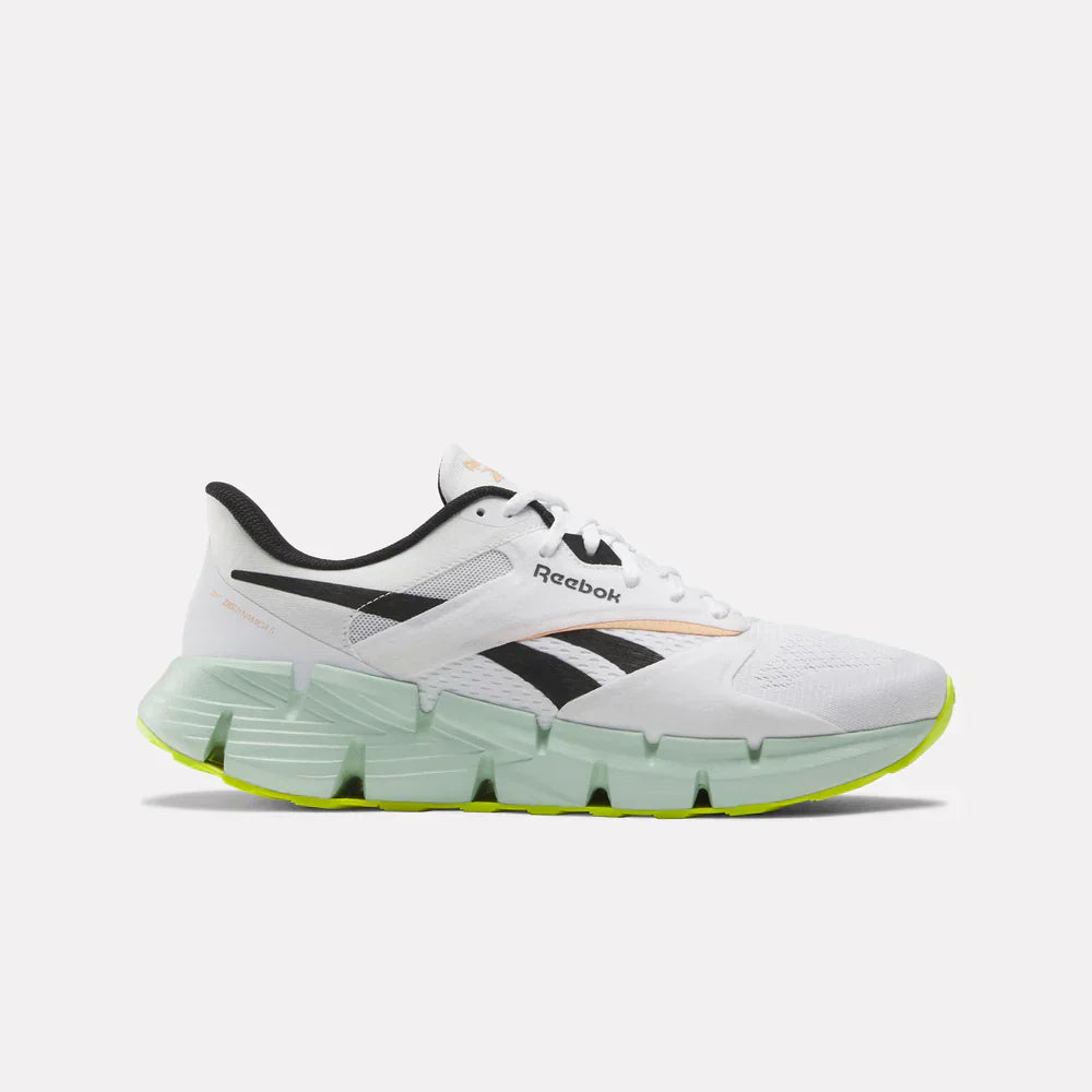 Zig Dynamica 5 Shoes