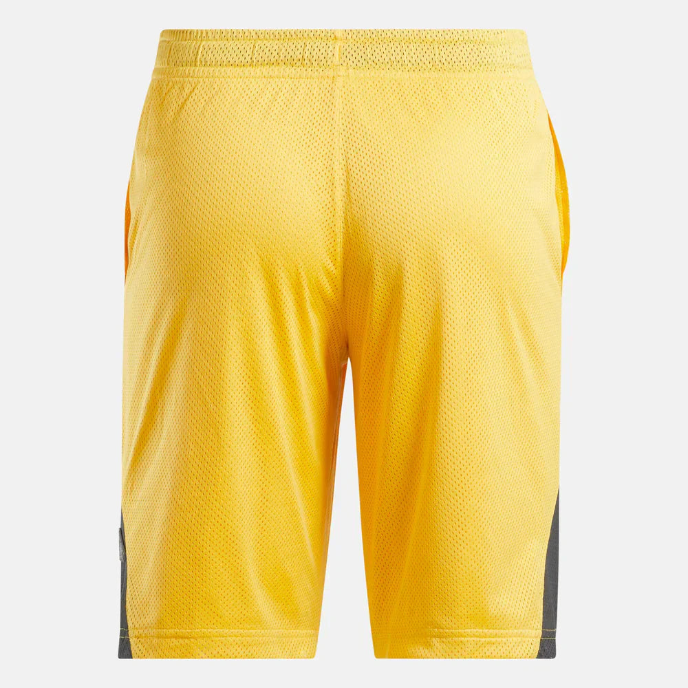Above The Rim Hoopwear Shorts (4)