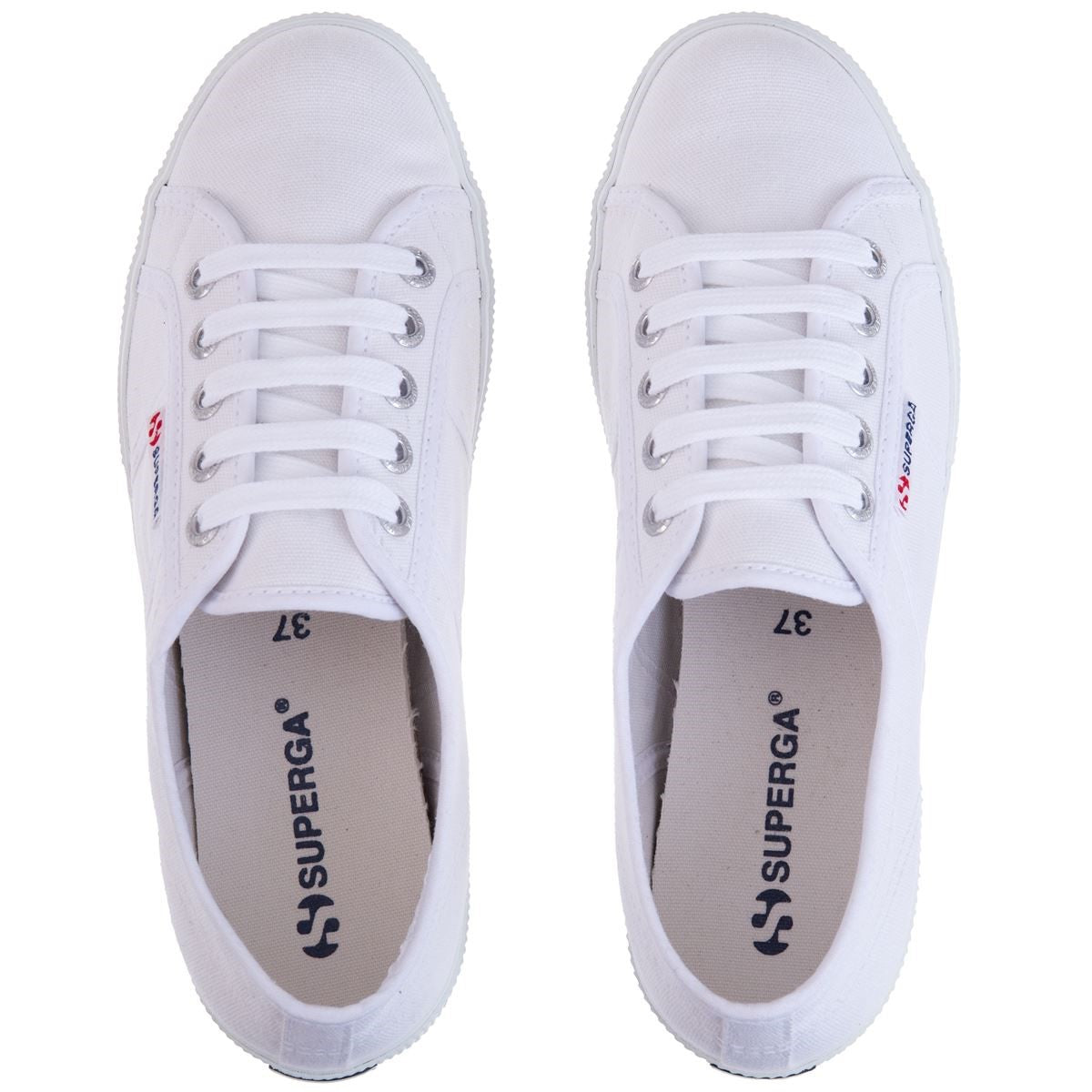 2950 Cotus - White