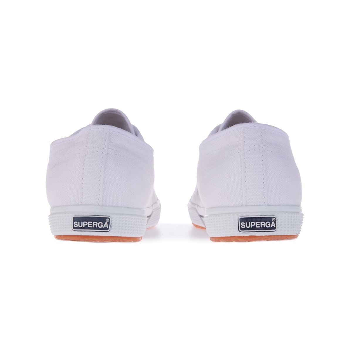 2950 Cotus - White