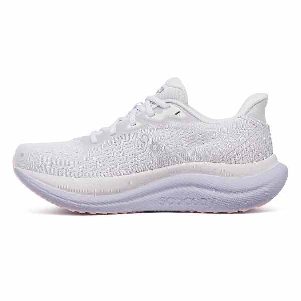 Saucony Triumph 23 Aster Gris