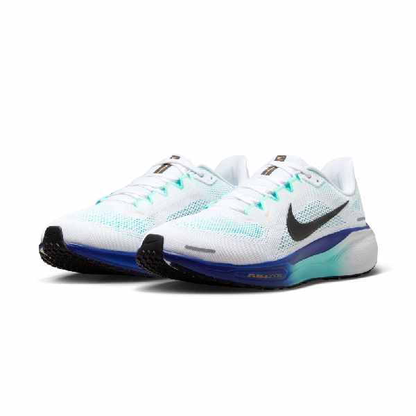 Nike Pegasus 41 White/Black