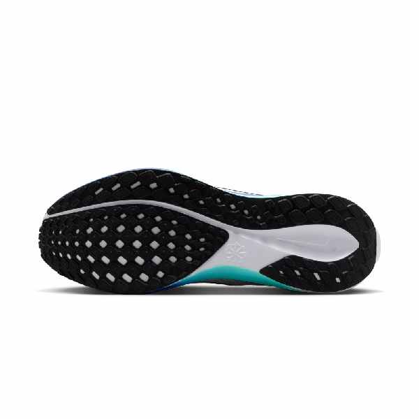 Nike Pegasus 41 White/Black