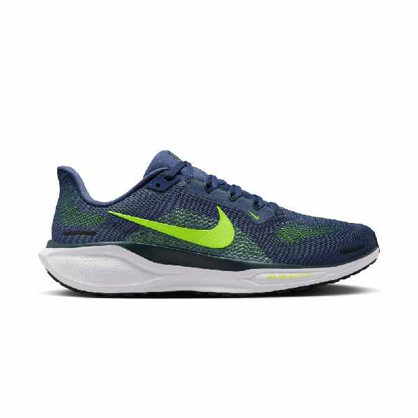 Nike Pegasus 41 Sanded Purple