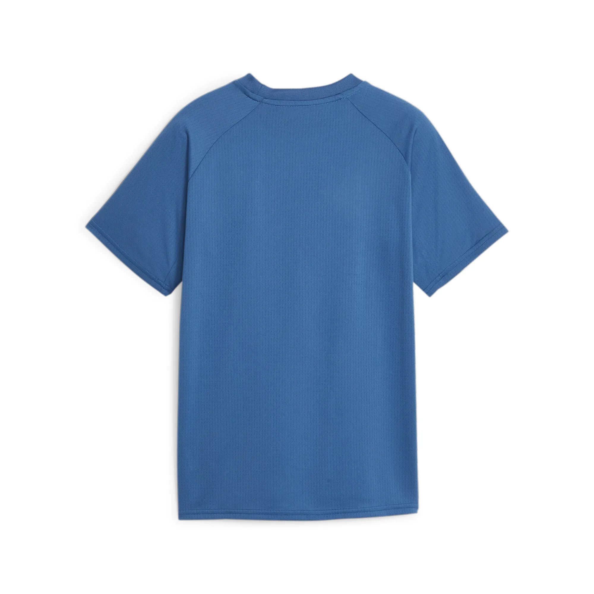 Puma Manchester City Prematch 2023/24 Jersey Men